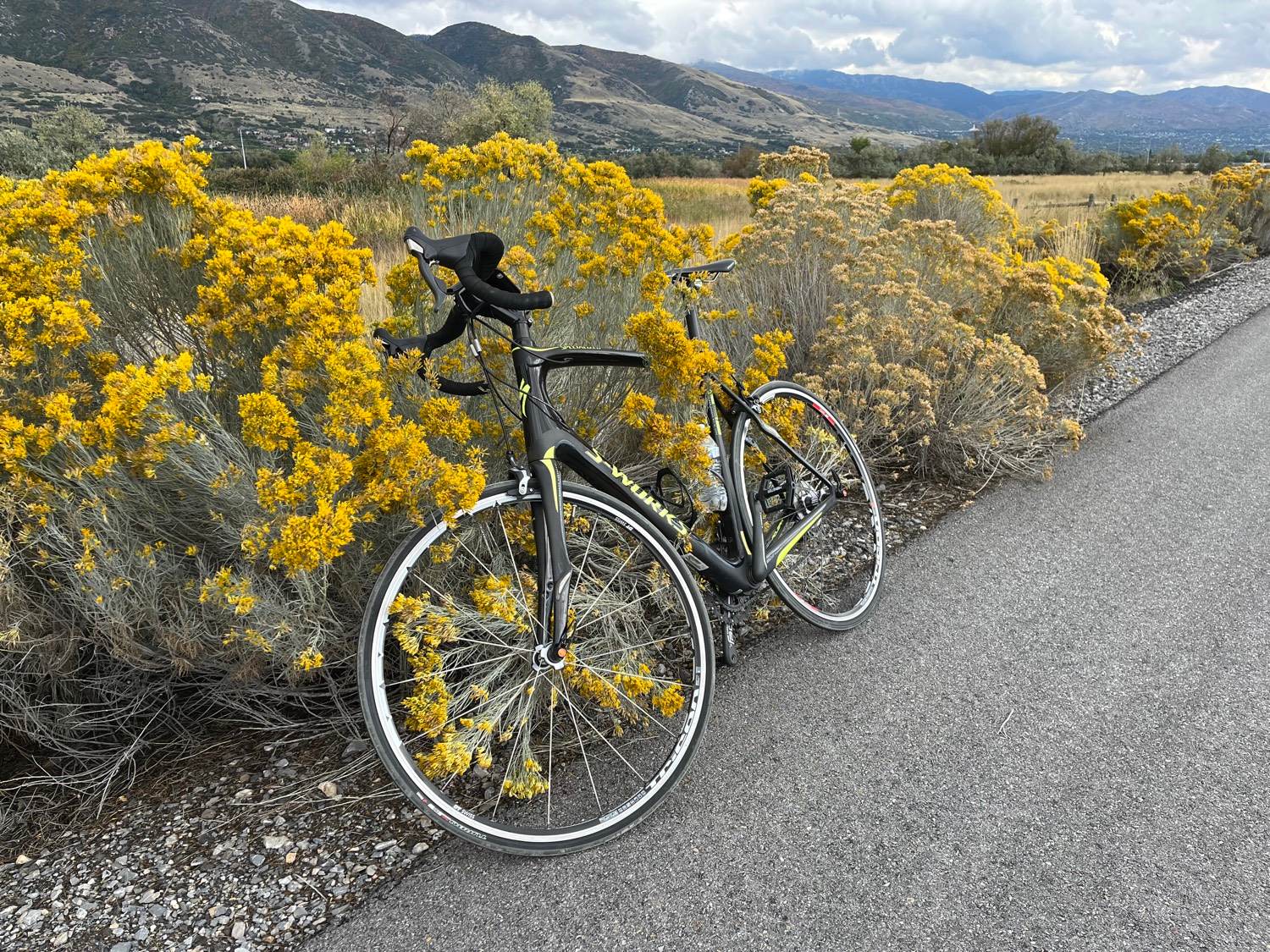 2011 Trek 1.2 Triple Value & Price Guide | Bicycle Blue Book