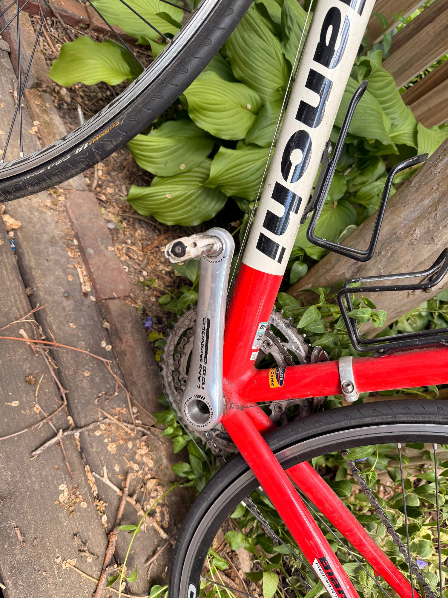 bianchi 1885 veloce road bike BicycleBlueBook