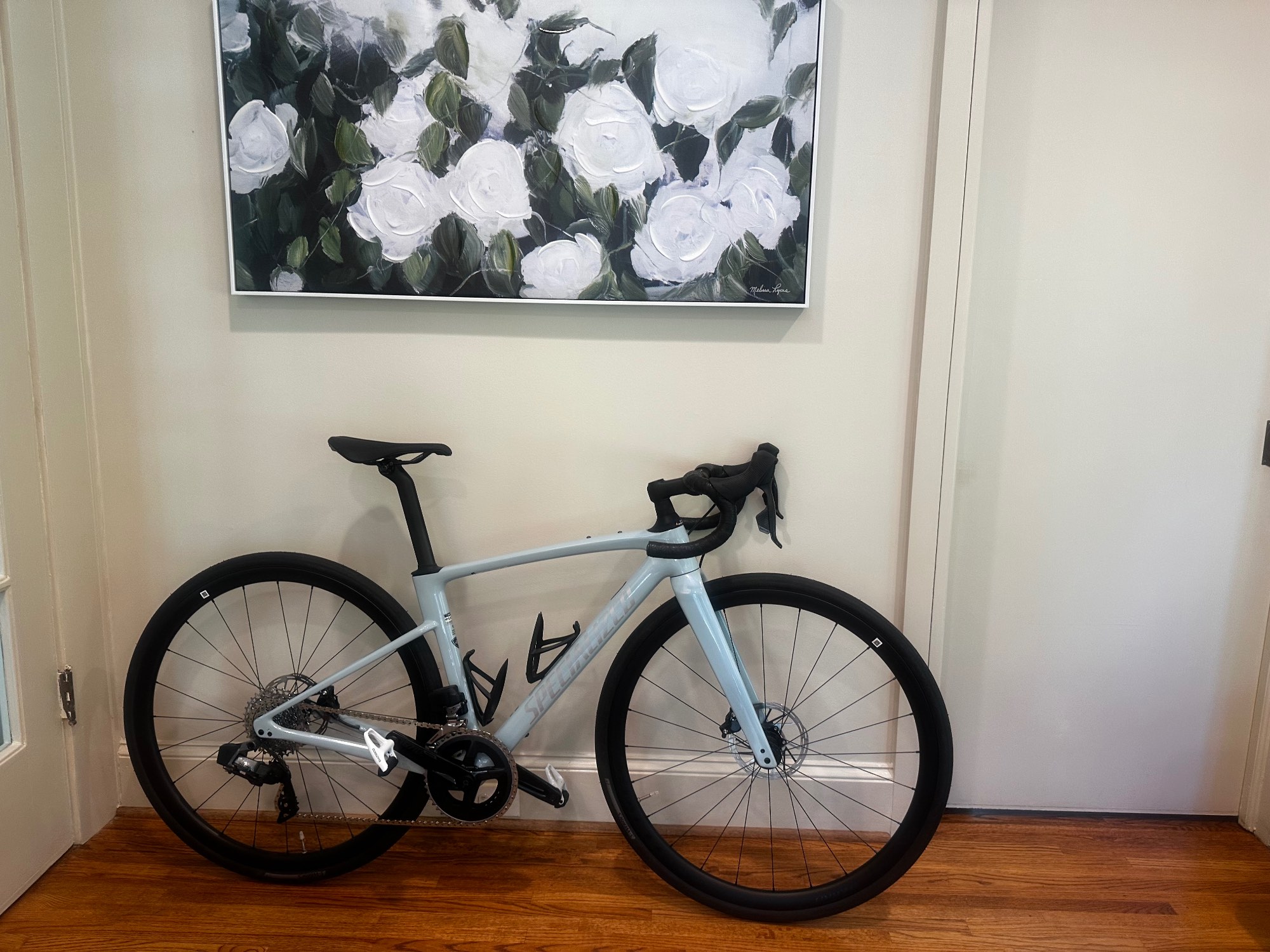 2009 Fuji Roubaix Pro Value & Price Guide | Bicycle Blue Book
