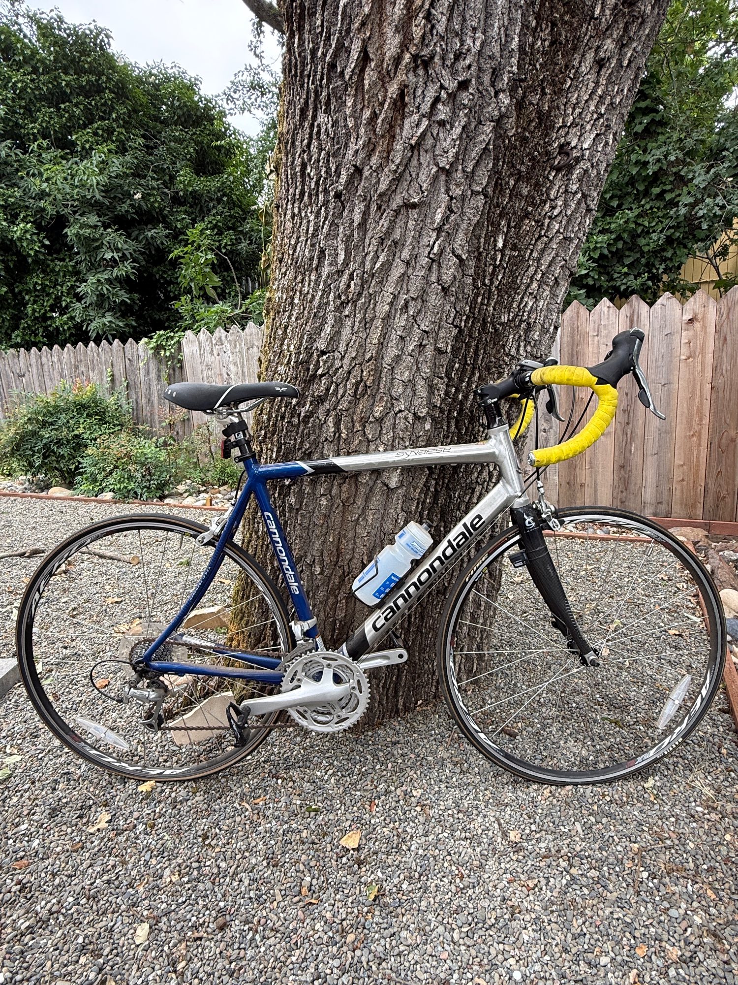2019 Cannondale CAADX Tiagra SE Value & Price Guide | Bicycle Blue